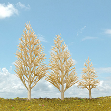 model trees
